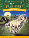 Cover image for Windy Night with Wild Horses